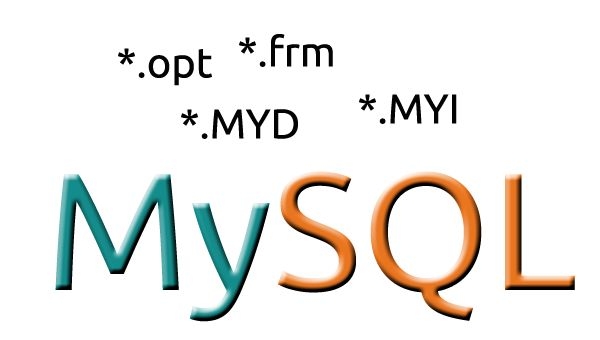 Baza de date la un site web in Moldova